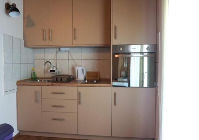 Studio Apartman "Djed" Hrvatska Kostajnica エクステリア 写真