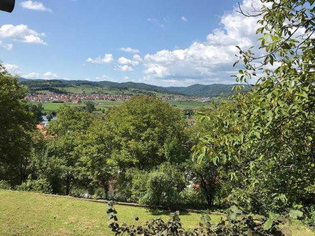 Studio Apartman "Djed" Hrvatska Kostajnica エクステリア 写真